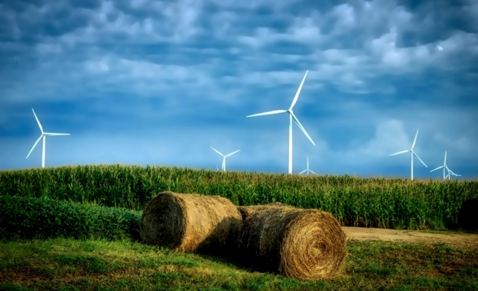 Remote Sensing for Environmental Monitoring